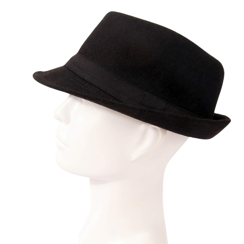 Classic And Stylish Design Trilby Hat